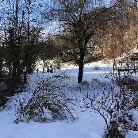 Gite Du Vieux Moulin Ravilloles Buitenkant foto